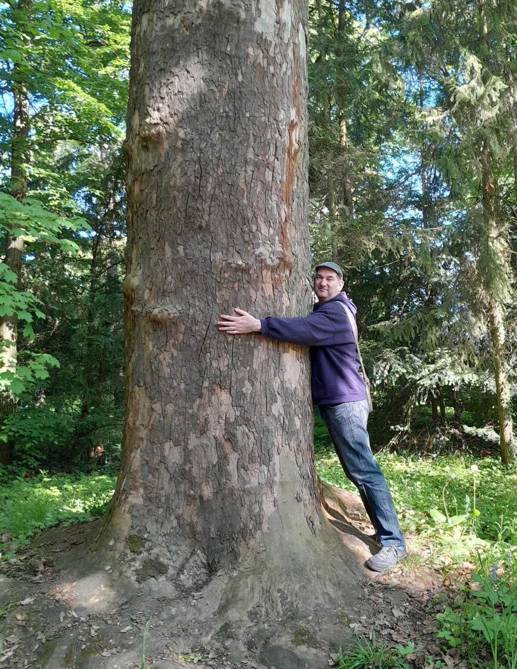 Kádár Tibor