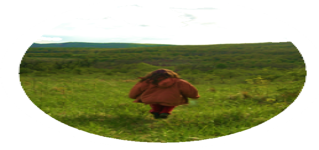 Pintérné Gépész Bettina